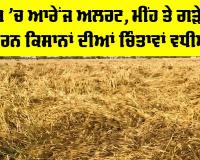 Weather Punjab: ਪੰਜਾਬ ’ਚ ਆਰੇਂਜ ਅਲਰਟ, ਮੀਂਹ ਤੇ ਗੜੇਮਾਰੀ ਕਾਰਨ ਕਿਸਾਨਾਂ ਦੀਆਂ ਚਿੰਤਾਵਾਂ ਵਧੀਆਂ