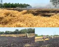 Sunam Wheat Fire: ਸੁਨਾਮ 'ਚ ਅੱਗ ਲੱਗਣ ਕਾਰਨ ਕਈ ਏਕੜ ਕਣਕ ਸੁਆਹ