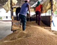 Wheat Procurement Punjab : ਖੰਨਾ ਮੰਡੀ ’ਚ ਕਣਕ ਦੀ ਆਮਦ ਸ਼ੁਰੂ, ਨਹੀਂ ਲੱਗੀ ਬੋਲੀ