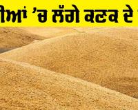 Punjab Farmers: ਮੰਡੀਆਂ ’ਚ ਲੱਗੇ ਕਣਕ ਦੇ ਢੇਰ