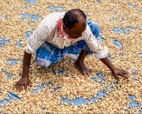 Farmers Good News: ਕਿਸਾਨਾਂ ਨੂੰ ਵੱਡਾ ਤੋਹਫ਼ਾ ਕੇਂਦਰ ਸਰਕਾਰ ਨੇ 14 ਸਾਉਣੀ ਫਸਲਾਂ ਲਈ ਕੀਤਾ ਵੱਡਾ ਐਲਾਨ
