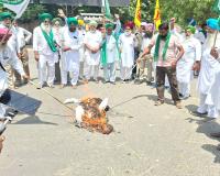 Farmers Protest: ਸੰਯੁਕਤ ਕਿਸਾਨ ਮੋਰਚੇ ਵੱਲੋਂ ਜ਼ਿਲ੍ਹੇ ’ਚ ਪੁਤਲੇ ਫੂਕ ਕੇ ਕੀਤੇ ਗਏ ਰੋਸ ਪ੍ਰਦਰਸ਼ਨ 