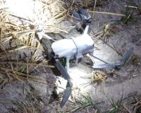Fazilka Drone: ਸਰਹੱਦ ਪਾਰੋਂ ਦਾਖਲ ਹੋਇਆ ਪਾਕਿਸਤਾਨੀ ਡਰੋਨ ਡਿੱਗਿਆ, ਜਾਂਚ ਜਾਰੀ