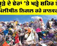 Garbage Pollution Crisis: ਕੂੜੇ ਦੇ ਢੇਰਾਂ ’ਤੇ ਖੜ੍ਹੇ ਸ਼ਹਿਰ ਤੇ ਪੋਲੀਥੀਨ ਨਿਗਲ ਰਹੇ ਜਾਨਵਰ