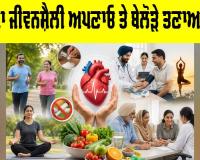 Healthy Lifestyle Tips: ਵਧੀਆ ਜੀਵਨਸ਼ੈਲੀ ਅਪਣਾਓ ਤੇ ਬੇਲੋੜੇ ਤਣਾਅ ਨੂੰ ਛੱਡੋ