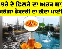 IIT BHU Research: ਸੰਤਰੇ ਦੇ ਛਿਲਕੇ ਦਾ ਅਰਕ ਸਾਫ਼ ਕਰੇਗਾ ਫੈਕਟਰੀ ਦਾ ਗੰਦਾ ਪਾਣੀ