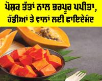 Papaya Health Benefits: ਪੋਸ਼ਕ ਤੱਤਾਂ ਨਾਲ ਭਰਪੂਰ ਪਪੀਤਾ, ਹੱਡੀਆਂ ਤੇ ਵਾਲਾਂ ਲਈ ਫਾਇਦੇਮੰਦ