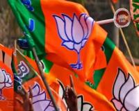 Punjab BJP Action: ਸਾਬਕਾ ਕੌਂਸਲਰ ਹਨੀ ਗੋਇਲ ਭਾਜਪਾ ਦੀ ਮੁੱਢਲੀ ਮੈਂਬਰਸ਼ਿਪ ਤੋਂ ਬਰਖ਼ਾਸਤ