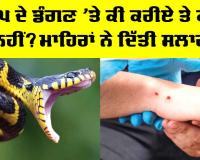 Snake Bite Treatment: ਸੱਪ ਦੇ ਡੰਗਣ ’ਤੇ ਕੀ ਕਰੀਏ ਤੇ ਕੀ ਨਹੀਂ? ਮਾਹਿਰਾਂ ਨੇ ਦਿੱਤੀ ਸਲਾਹ