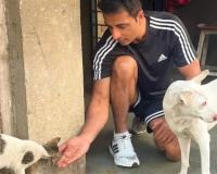 Sonu Sood Statement: ਆਵਾਰਾ ਕੁੱਤਿਆਂ ਦੇ ਹੱਕ ’ਚ ਬੋਲੇ ਸੋਨੂੰ ਸੂਦ, ਇਹਨਾਂ ਨੂੰ ਮਾਰੋ ਨਾ ਘਰ ਦਿਓ