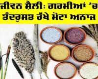Summer Diet: ਜੀਵਨ ਸ਼ੈਲੀ, ਗਰਮੀਆਂ ’ਚ ਤੰਦਰੁਸਤ ਰੱਖੇ ਮੋਟਾ ਅਨਾਜ