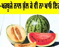 Watermelon Health Tips: ਤਰਬੂਜ਼-ਖਰਬੂਜੇ ਨਾਲ ਭੁੱਲ ਕੇ ਵੀ ਨਾ ਖਾਓ ਇਹ ਚੀਜ਼ਾਂ
