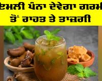 Tamarind Panna Benefits: ਇਮਲੀ ਪੰਨਾ ਦੇਵੇਗਾ ਗਰਮੀ ਤੋਂ ਰਾਹਤ ਤੇ ਤਾਜ਼ਗੀ