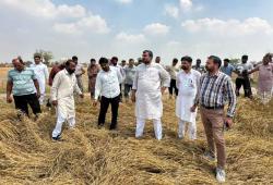 Fazilka News: ਵਿਧਾਇਕ ਜਗਦੀਪ ਕੰਬੋਜ ਗੋਲਡੀ ਵੱਲੋਂ ਮੀਂਹ ਤੇ ਗੜੇਮਾਰੀ ਕਾਰਨ ਅਰਨੀਵਾਲਾ ਬਲਾਕ ਦੇ ਪਿੰਡਾਂ ਦਾ ਦੌਰਾ