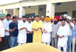 Mandi Wheat Purchase: ਮੰਤਰੀ ਅਮਨ ਅਰੋੜਾ ਨੇ ਸੁਨਾਮ ਵਿਖੇ ਕਣਕ ਦੀ ਖਰੀਦ ਸ਼ੁਰੂ ਕਰਵਾਈ