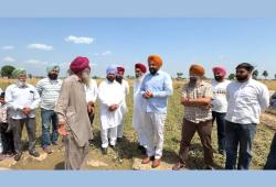 Punjab Farmers News: ਮੈਂਬਰ ਪਾਰਲੀਮੈਂਟ ਔਜਲਾ ਤੇ ਸੱਚਰ ਨੇ ਗੜੇਮਾਰੀ ਨਾਲ ਨੁਕਸਾਨਈਆਂ ਫਸਲਾਂ ਦਾ ਕੀਤਾ ਮੁਆਇਨਾ 