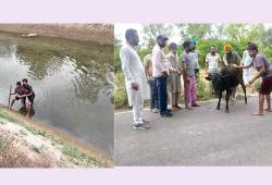 Animal Welfare: ਨਹਿਰ ’ਚ ਡਿੱਗੇ ਵੱਛੇ ਨੂੰ ਡੇਰਾ ਸ਼ਰਧਾਲੂਆਂ ਨੇ ਸੁਰੱਖਿਅਤ ਬਾਹਰ ਕੱਢਿਆ