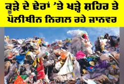 Garbage Pollution Crisis: ਕੂੜੇ ਦੇ ਢੇਰਾਂ ’ਤੇ ਖੜ੍ਹੇ ਸ਼ਹਿਰ ਤੇ ਪੋਲੀਥੀਨ ਨਿਗਲ ਰਹੇ ਜਾਨਵਰ