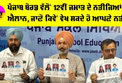 PSEB 12th Result: ਪੰਜਾਬ ਬੋਰਡ ਵੱਲੋਂ 12ਵੀਂ ਜਮਾਤ ਦੇ ਨਤੀਜਿਆਂ ਦਾ ਐਲਾਨ, ਜਾਣੋ ਕਿਵੇਂ ਵੇਖ ਸਕਦੇ ਹੋ ਆਪਣੇ ਨਤੀਜੇ
