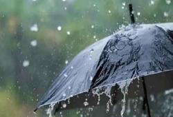 Punjab Weather Alert: 6 ਜ਼ਿਲ੍ਹਿਆਂ ’ਚ ਮੀਂਹ ਤੇ ਤੁਫਾਨ ਦੀ ਚਿਤਾਵਨੀ, ਜਾਣੋ ਮੌਸਮ ਦੀ ਤਾਜ਼ਾ ਅਪਡੇਟ