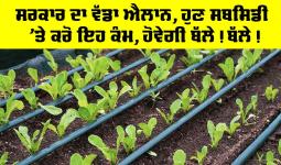 Farmer News: ਸਰਕਾਰ ਦਾ ਵੱਡਾ ਐਲਾਨ, ਹੁਣ ਸਬਸਿਡੀ ’ਤੇ ਕਰੋ ਇਹ ਕੰਮ, ਹੋਵੇਗੀ ਬੱਲੇ! ਬੱਲੇ!