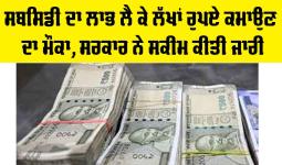 Beekeeping: ਸਬਸਿਡੀ ਦਾ ਲਾਭ ਲੈ ਕੇ ਲੱਖਾਂ ਰੁਪਏ ਕਮਾਉਣ ਦਾ ਮੌਕਾ, ਸਰਕਾਰ ਨੇ ਸਕੀਮ ਕੀਤੀ ਜਾਰੀ