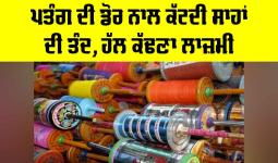 Kite String Danger: ਪਤੰਗ ਦੀ ਡੋਰ ਨਾਲ ਕੱਟਦੀ ਸਾਹਾਂ ਦੀ ਤੰਦ, ਹੱਲ ਕੱਢਣਾ ਲਾਜ਼ਮੀ