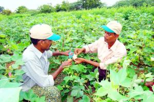 ਕਿਸਾਨਾਂ ਲਈ ਵਰਦਾਨ ਸਾਬਿਤ ਹੋ ਰਿਹੈ ‘ਅੰਨਦਾਤਾ ਬਚਾਓ ਕੈਂਪ’