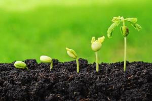 ਮੈਂ ਤੋਂ ਮੈਂ ਤੱਕ ਦਾ ਸਫ਼ਰ