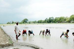 ਕਮਜ਼ੋਰਾਂ’ਤੇ ਹੁੰਦੇ ਜ਼ੁਲਮਾਂ ਪ੍ਰਤੀ ਲਾਮਬੰਦ ਹੋਵੇ ਸਮਾਜ