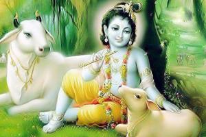 ਪ੍ਰਬੰਧਕੀ ਹੁਨਰ ਦੀ ਮਿਸਾਲ ਸ੍ਰੀ ਕ੍ਰਿਸ਼ਨ ਜੀ