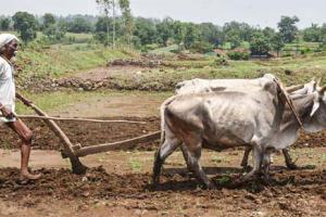 ਕਿਸਾਨਾਂ ਦੀ ਆਮਦਨ ਦੁੱਗਣੀ ਕਰਨ ਦੀ ਨੀਂਹ