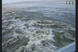 ਨਦੀਆਂ ਨੂੰ ਮਿਲੇ ਮਨੁੱਖਾਂ ਵਾਲੇ ਅਧਿਕਾਰ