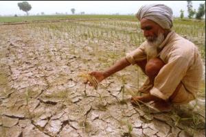 ਪੰਜਾਬ ਦੇ ਕਿਸਾਨਾਂ ਦਾ ਸਮੁੱਚਾ ਫਸਲੀ ਕਰਜ਼ਾ ਮੁਆਫ ਕਰਨ ਦਾ ਐਲਾਨ