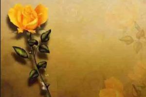 ਗਰਮੀ-ਸਰਦੀ