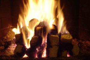 ਲੰਬੀ ‘ਚ ਬਾਇਓ ਮਾਸ ਪਾਵਰ ਪਲਾਂਟ ‘ਚ ਲੱਗੀ ਅੱਗ