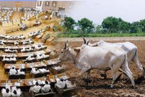 ਵਿਧਾਇਕਾਂ ਨੂੰ ਗੱਫ਼ੇ, ਕਿਸਾਨਾਂ ਨੂੰ ਧੱਕੇ