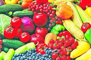 ਆਰਗੈਨਿਕ ਉਤਪਾਦਾਂ ਨੂੰ ਉਤਸ਼ਾਹਿਤ ਕਰਨ ਦੀ ਲੋੜ