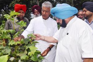 ਦੌਰੇ ‘ਤੇ ਆਏ ਮੁੱਖ ਮੰਤਰੀ ਅਮਰਿੰਦਰ  ਨੂੰ ਕਰਨਾ ਪਿਆ ਕਿਸਾਨਾਂ ਦੇ ਰੋਹ ਦਾ ਸਾਹਮਣਾ