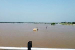 ਦਰਿਆ ‘ਚ ਜ਼ਿਆਦਾ ਪਾਣੀ ਆਉਣ ਕਰਕੇ ਫਸਲਾਂ ਡੁੱਬੀਆਂ