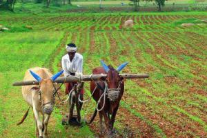 ਕਿਸਾਨ ਖੁਦਕੁਸ਼ੀਆਂ ਬਨਾਮ ਖੇਤੀ ਸੰਕਟ