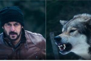 ਸਲਮਾਨ ਨਹੀਂ, ਇਸ ਸ਼ਖਸ ਨੇ ਕੀਤੇ ‘ਟਾਈਗਰ ਜ਼ਿੰਦਾ ਹੈ’ ਦੇ ਖਤਰਨਾਕ ਸੀਨ