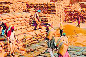 ਹੁਣ ਨਹੀਂ ਲੱਗਣਗੇ ਕਣਕ ਦੀਆਂ ਬੋਰੀਆਂ ਦੇ ਅੰਬਾਰ