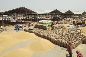 ਲਿਫਟਿੰਗ ਦੀ ਢਿੱਲੀ ਚਾਲ ਕਾਰਨ ਮੁਕਤਸਰ ਮੰਡੀ ‘ਚ ਬੋਰੀਆਂ ਦੇ ਲੱਗੇ ਅੰਬਾਰ