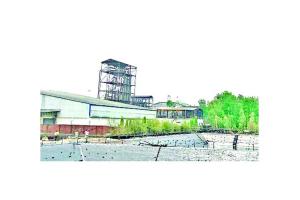 ਪ੍ਰਦੂਸ਼ਣ ਖਿਲਾਫ਼ ਸਬਕ ਸਿਖਾਊ ਫੈਸਲੇ