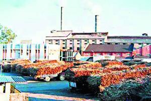 ਸ਼ੂਗਰ ਮਿੱਲ ‘ਤੇ ਅਜੇ ਤੱਕ ਕਾਰਵਾਈ ਨਹੀਂ : ਆਪ