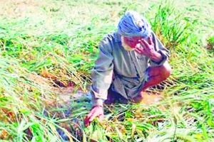 ਪੰਜ ਤਾਰਾ ਹੋਟਲ ‘ਚ ਤਿਆਰ ਹੋ ਰਹੀ ਐ ਖ਼ੁਦਕੁਸ਼ੀ ਕਰ ਰਹੇ ਕਿਸਾਨਾਂ ਲਈ ਨੀਤੀ