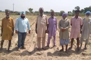 ਮੀਂਹ ਅਤੇ ਹਨ੍ਹੇਰੀ ਨਾਲ 15 ਏਕੜ ਨਰਮੇ ਦੀ ਫਸਲ ਬਰਬਾਦ