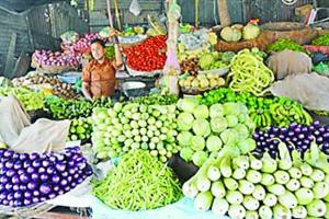 ਪਿੰਡ ਬੰਦ ਅੰਦੋਲਨ : ਸਬਜ਼ੀਆਂ ਦੇ ਰੇਟ ਵਧੇ