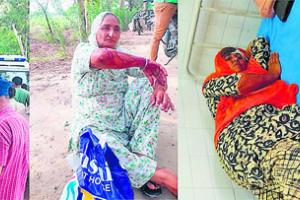 ਤੇਜ਼ ਰਫਤਾਰ ਬੱਸ ਹਾਦਸੇ ਕਾਰਨ ਔਰਤ ਦੀ ਦਰਦਨਾਕ ਮੌਤ, ਡਰਾਇਵਰ ਫਰਾਰ